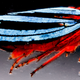 Illustration for article titled Macrophotographs of insects to melt your face